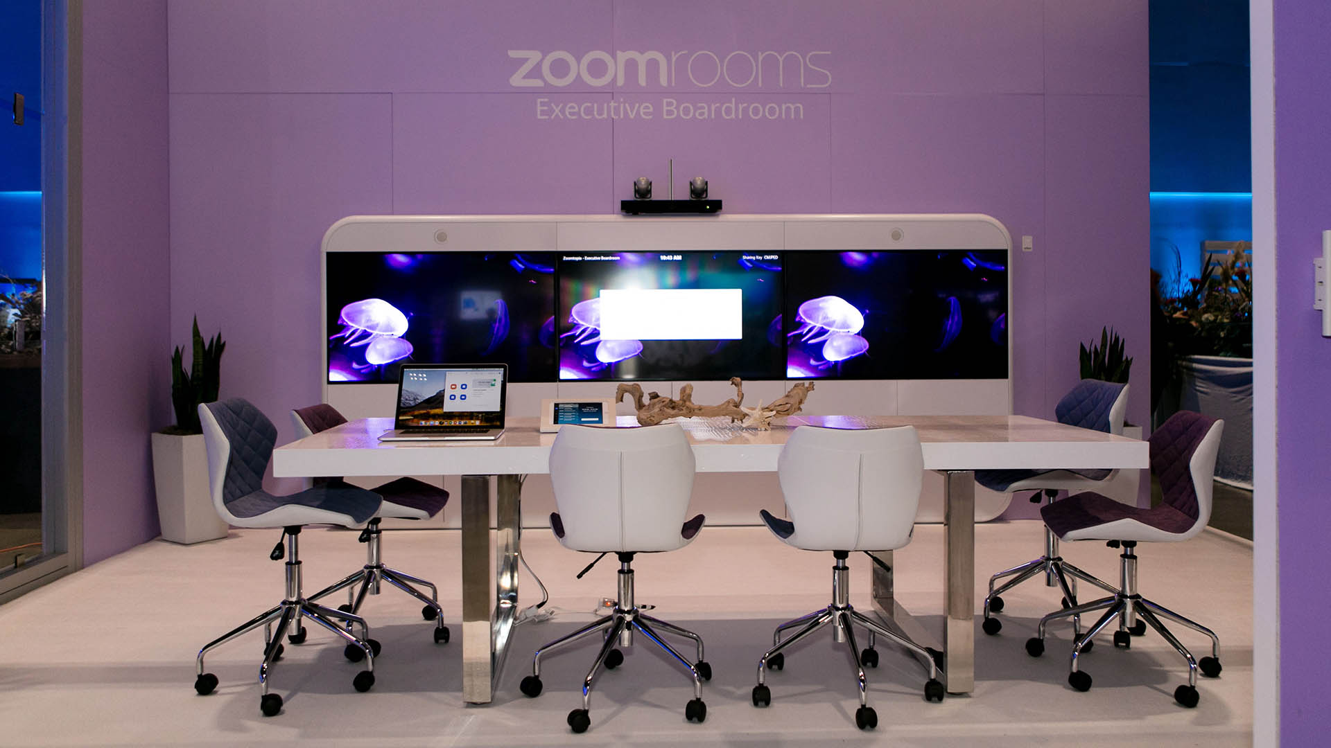 Kompletter Zoom-Room